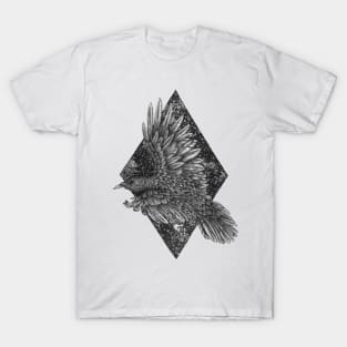 Cosmic Raven T-Shirt